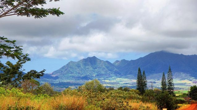 Фото mintyearth. Гаваи