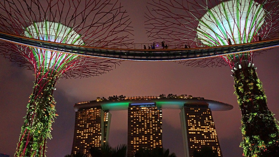 Сади біля Затоки в Сінгапурі