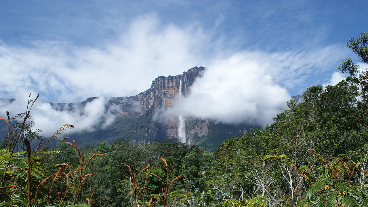 Водоспад Анхель у Венесуелі