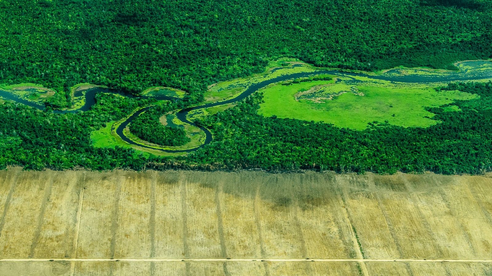 Фото Roberto Bueno