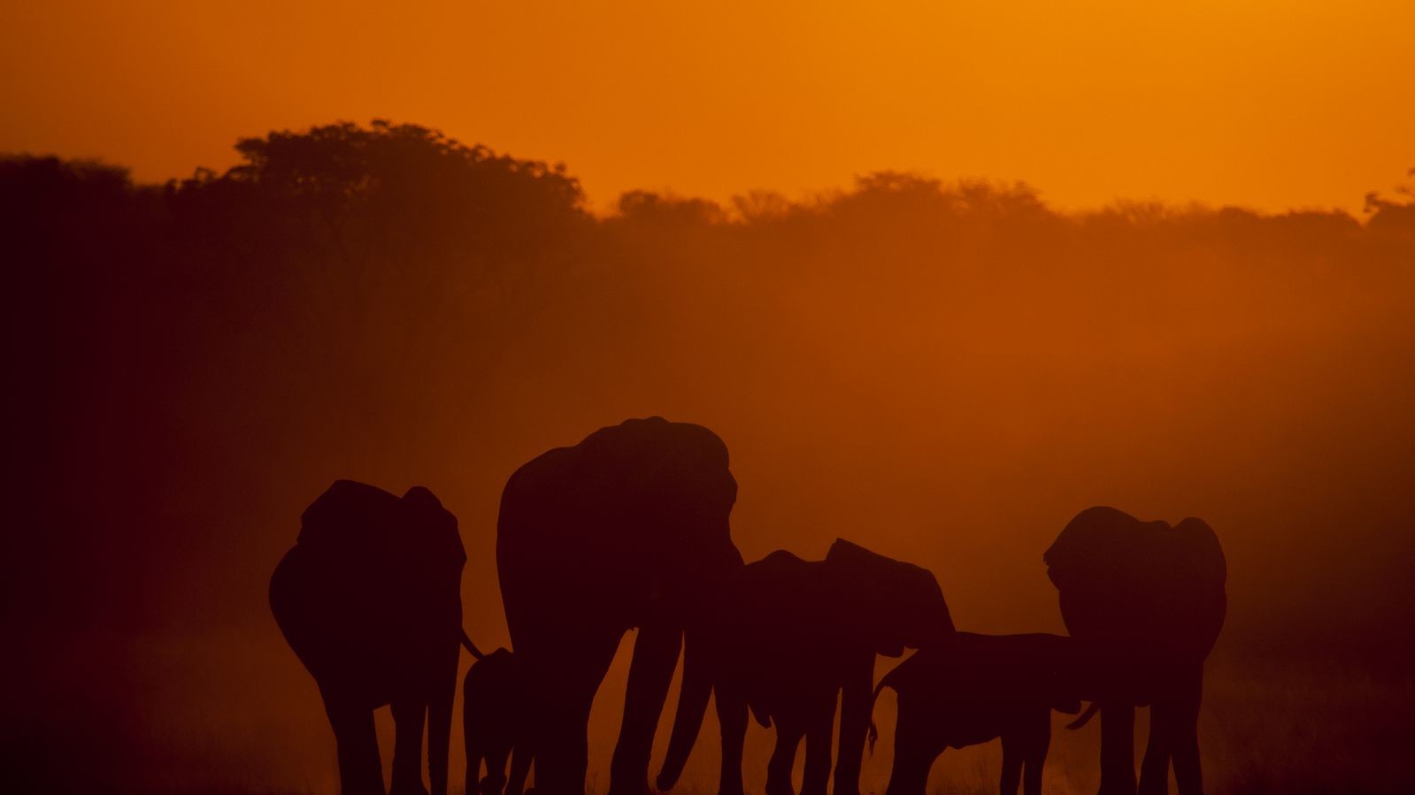 Фото Jill Snyder