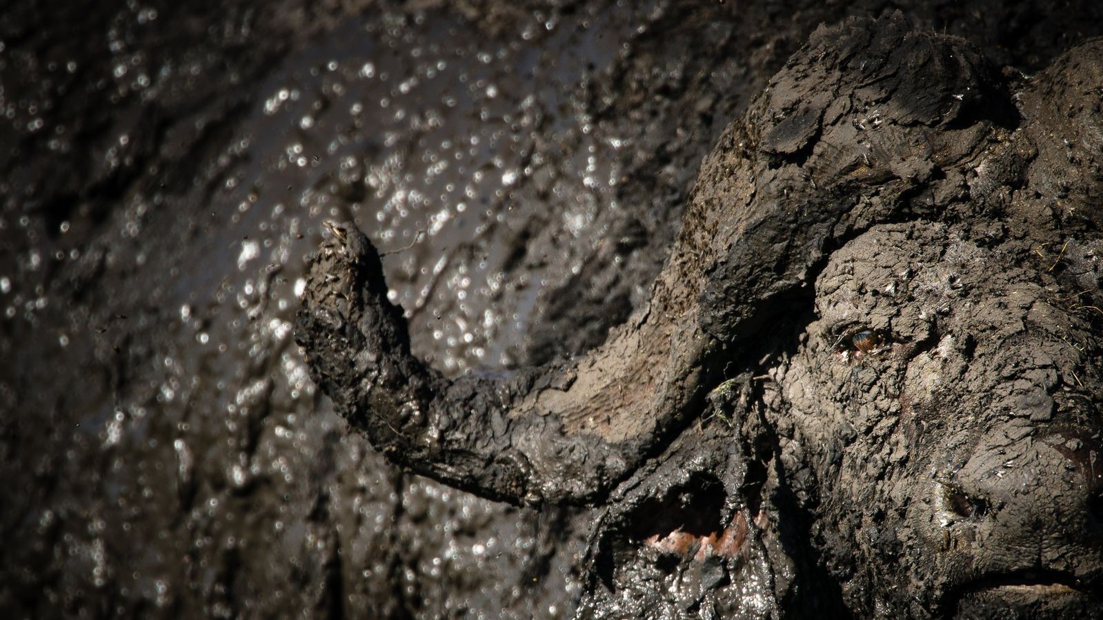 Фото Chris Schmid