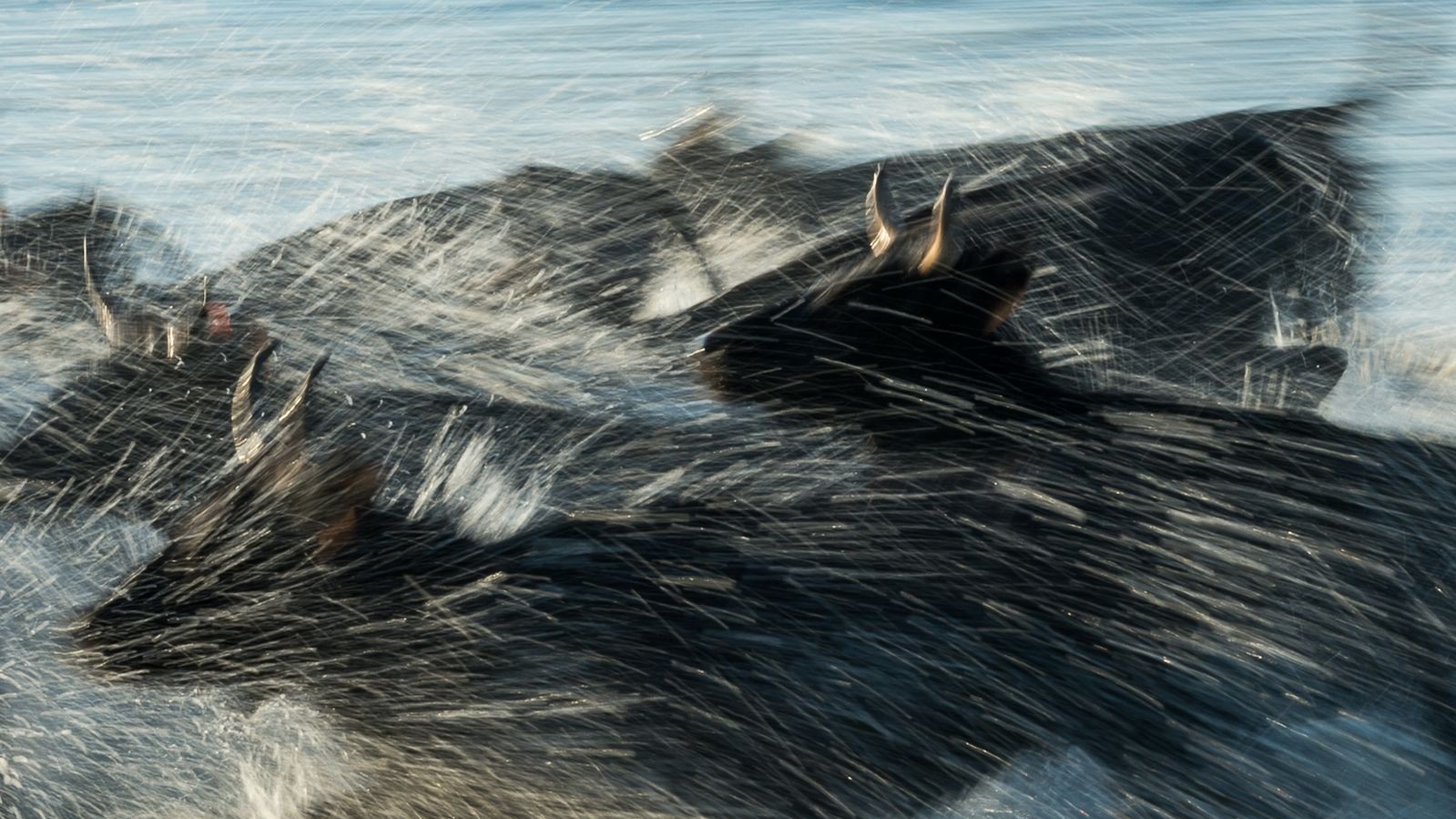 Фото Nancy Leigh