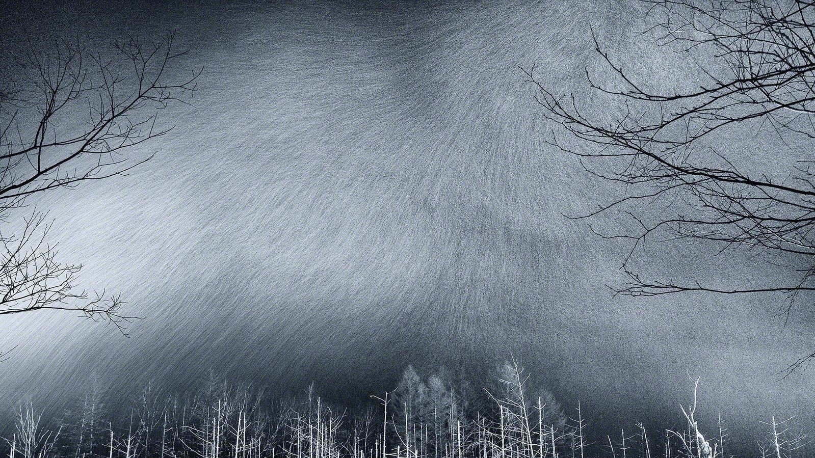 Фото Kent Shiraishi