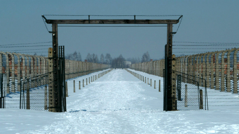 17. Аушвіц-Біркенау, Освенцім, Польща