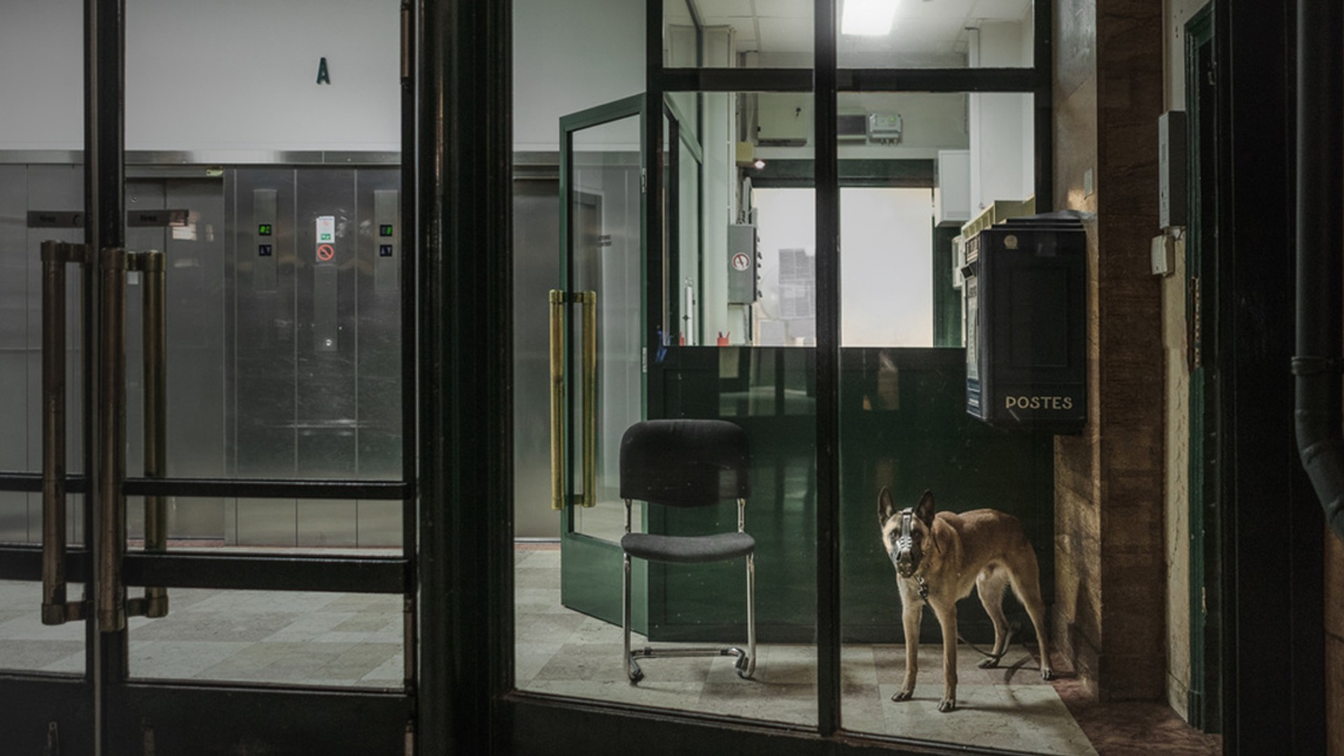 Фото Rémy Soubanère