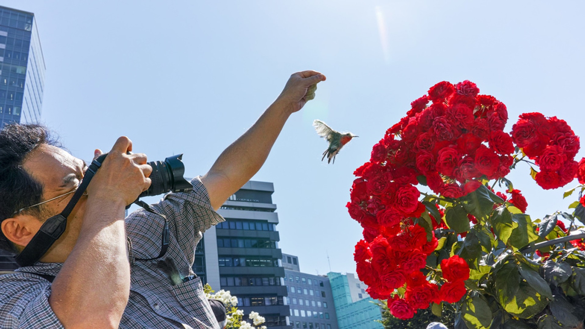 Фото Takayuki Narita