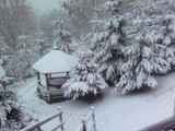 Снег в Буковеле