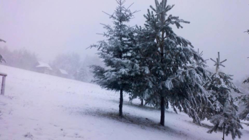 Снег в Буковеле