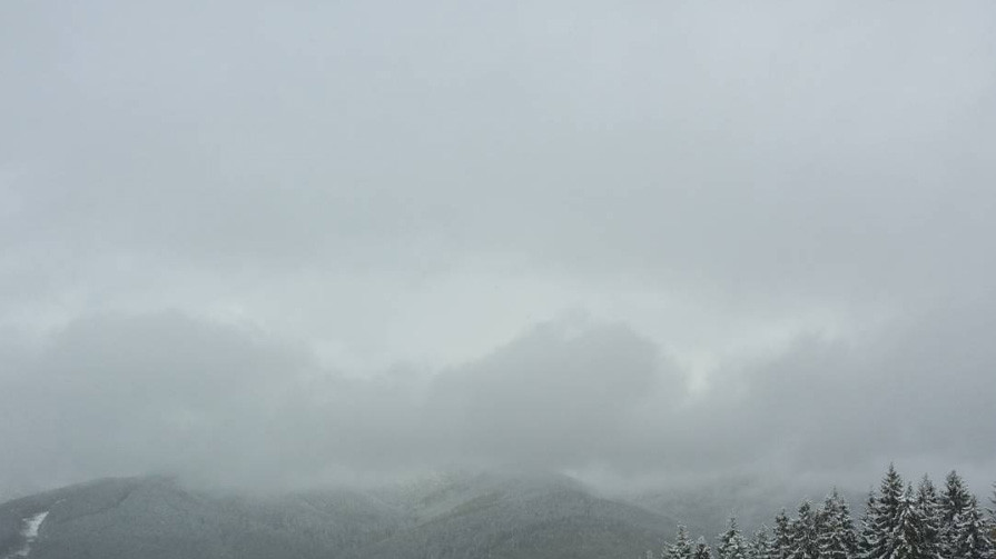 Снег в Буковеле