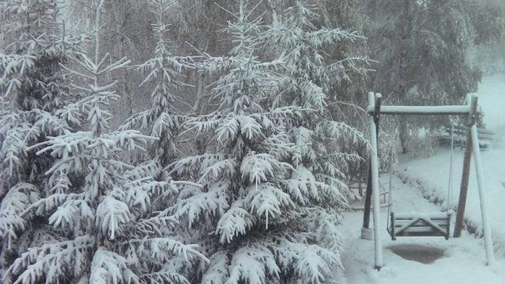 Снег в Буковеле