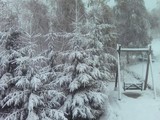 Сніг в Буковелі