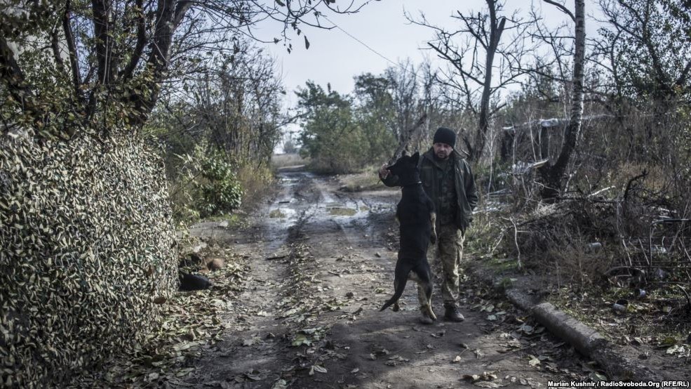 Пес по кличці Вог подружився з українськими військовими