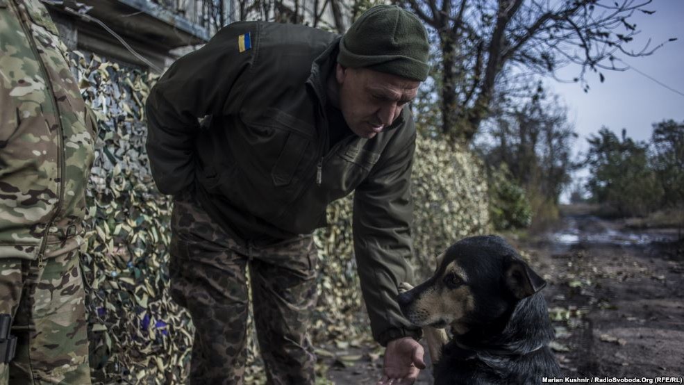 Пес по кличці Вог подружився з українськими військовими