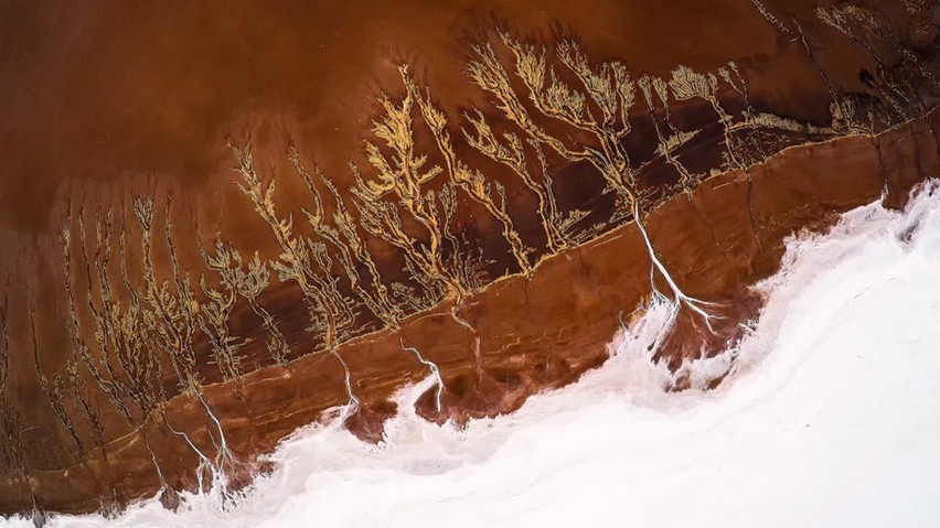 Фото: Йі Сун