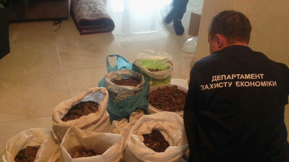 За незаконний видобуток бурштину передбачена кримінальна відповідальність