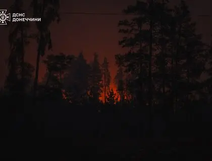 У Лиманському лісництві внаслідок обстрілів РФ спалахнула пожежа на 240 га