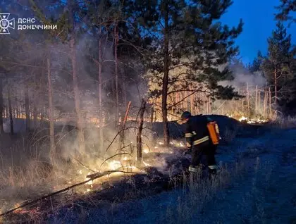 У Лиманському лісництві внаслідок обстрілів РФ спалахнула пожежа на 240 га