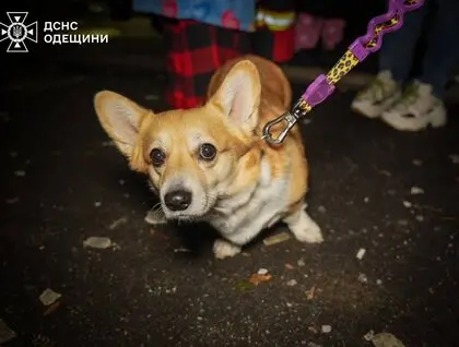 Внаслідок масованого удару по Одесі постраждали 10 людей. ДСНС показали фото з місця атаки