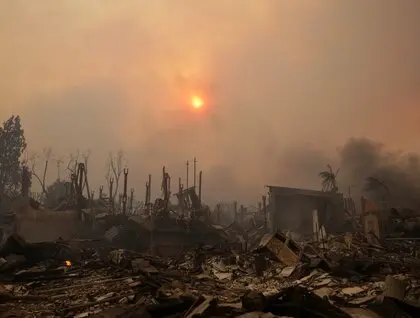 У Лос-Анджелесі продовжуються лісові пожежі: вже відомо про загиблих та понад тисячу знищених будівель