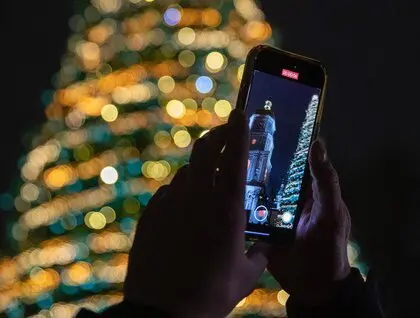 Головні ялинки України засіяли у Києві та Львові