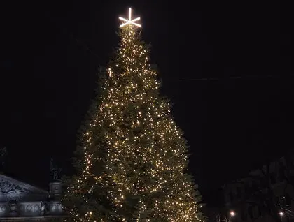 Головні ялинки України засіяли у Києві та Львові