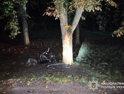 У Бродах п’яний водій влетів у дерево та електроопору: загинули троє неповнолітніх дівчат