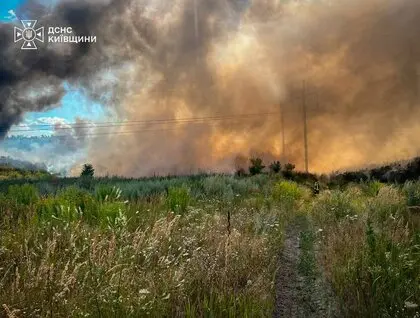Під Києвом другий день горить сміттєзвалище. Пожежа перекинулась на ліс