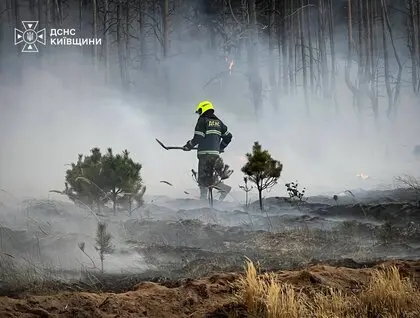 На Київщині вирує масштабна лісова пожежа