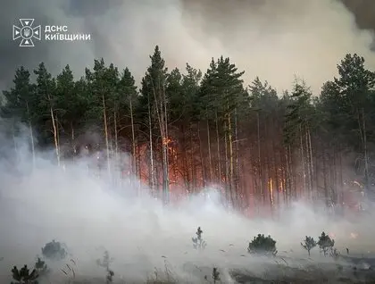 На Київщині вирує масштабна лісова пожежа