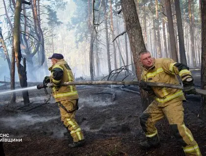 На Київщині вирує масштабна лісова пожежа