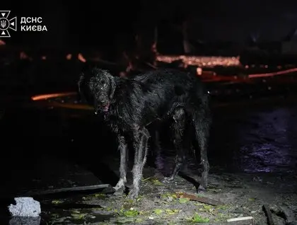 У Києві 8 загиблих, серед яких діти: фото наслідків нічної атаки